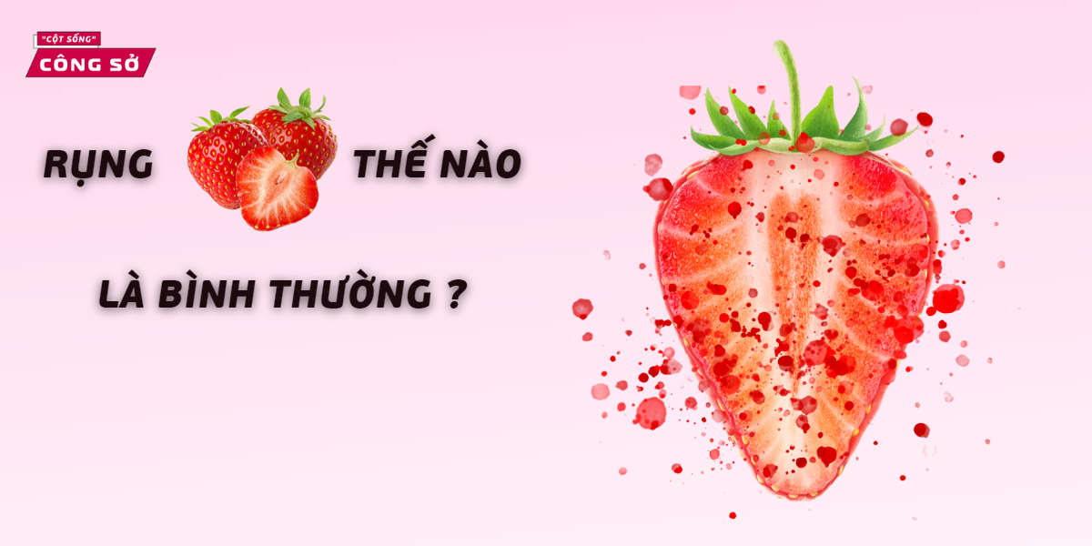 RỤNG DÂU THẾ NÀO LÀ BÌNH THƯỜNG ?